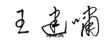 骆恒光王建啸草书个性签名怎么写