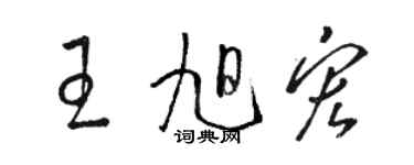 骆恒光王旭宏草书个性签名怎么写