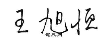 骆恒光王旭恒草书个性签名怎么写