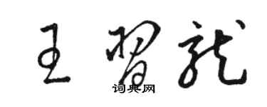 骆恒光王习龙草书个性签名怎么写