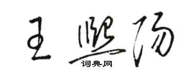骆恒光王熙阳草书个性签名怎么写