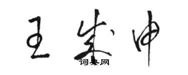 骆恒光王成申草书个性签名怎么写