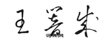 骆恒光王响成草书个性签名怎么写