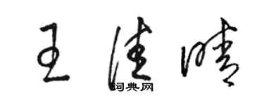 骆恒光王佳晴草书个性签名怎么写