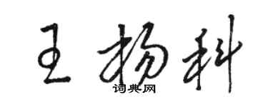 骆恒光王杨科草书个性签名怎么写