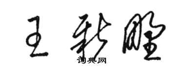 骆恒光王新野草书个性签名怎么写