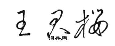 骆恒光王君樱草书个性签名怎么写