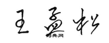 骆恒光王孟松草书个性签名怎么写