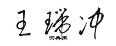 骆恒光王瑞冲草书个性签名怎么写