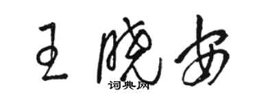 骆恒光王晓安草书个性签名怎么写
