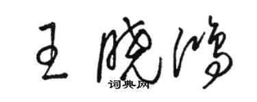 骆恒光王晓鸿草书个性签名怎么写