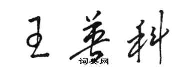骆恒光王英科草书个性签名怎么写