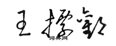 骆恒光王标欢草书个性签名怎么写