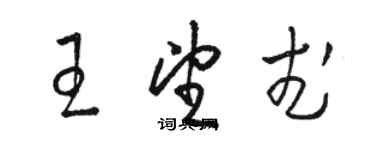 骆恒光王望武草书个性签名怎么写