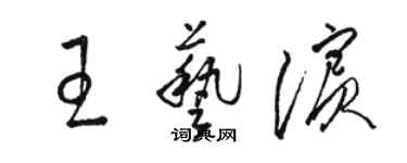 骆恒光王艺滨草书个性签名怎么写