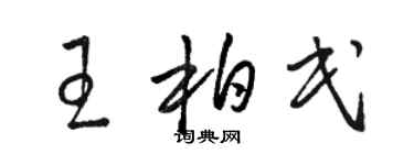 骆恒光王柏民草书个性签名怎么写