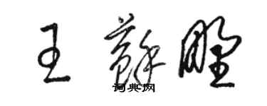 骆恒光王苏野草书个性签名怎么写