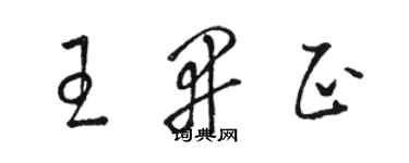 骆恒光王开正草书个性签名怎么写