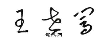 骆恒光王世闯草书个性签名怎么写