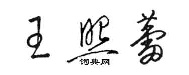 骆恒光王照蕾草书个性签名怎么写