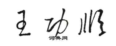 骆恒光王功顺草书个性签名怎么写