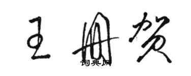 骆恒光王册贺草书个性签名怎么写