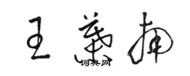 骆恒光王叶南草书个性签名怎么写