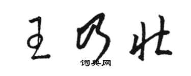 骆恒光王乃壮草书个性签名怎么写