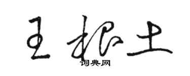 骆恒光王根土草书个性签名怎么写