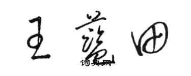 骆恒光王蓝田草书个性签名怎么写
