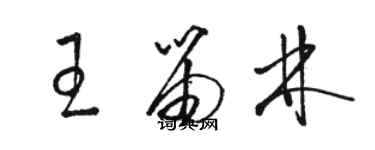 骆恒光王笛林草书个性签名怎么写