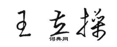 骆恒光王立操草书个性签名怎么写