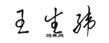 骆恒光王生纬草书个性签名怎么写