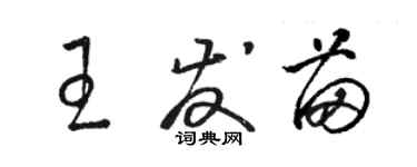 骆恒光王发苗草书个性签名怎么写