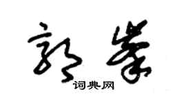 朱锡荣郭峰草书个性签名怎么写