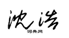 朱锡荣沈浩草书个性签名怎么写