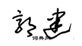 朱锡荣郭建草书个性签名怎么写