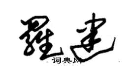 朱锡荣罗建草书个性签名怎么写