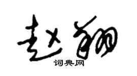 朱锡荣赵翔草书个性签名怎么写