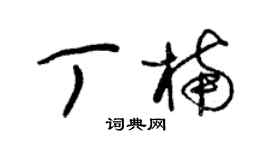 朱锡荣丁楠草书个性签名怎么写