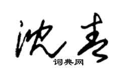 朱锡荣沈青草书个性签名怎么写