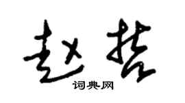 朱锡荣赵哲草书个性签名怎么写