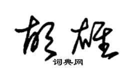 朱锡荣胡雄草书个性签名怎么写