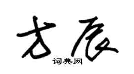 朱锡荣方辰草书个性签名怎么写