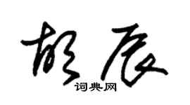 朱锡荣胡辰草书个性签名怎么写