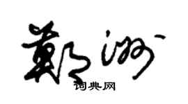 朱锡荣郑洲草书个性签名怎么写