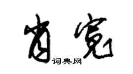 朱锡荣肖宽草书个性签名怎么写