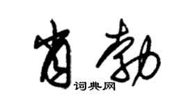 朱锡荣肖勃草书个性签名怎么写