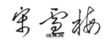 骆恒光宋雪梅草书个性签名怎么写