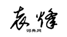 朱锡荣袁烽草书个性签名怎么写